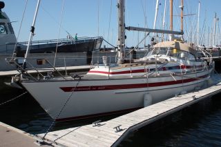 IMG_7704.jpg