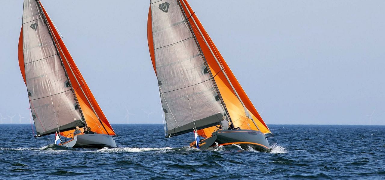 Saffier Daysailer