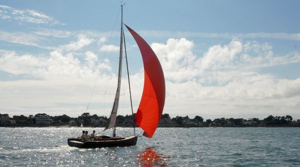 Tofinou 8.0 m Daysailer reaching.jpg